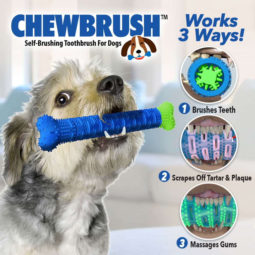 New Chewbrush Self Brushing Toothbrush for Dogs 1 New Chewbrush Self Brushing Toothbrush for Dogs